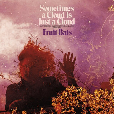 Fruit Bats: Sometimes a Cloud Is Just a Cloud: Slow Growers, Sleeper Hits and Lost Songs (2001‚Äì2021) (Vinyl LP)