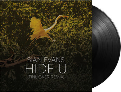 Sian Evans (Kosheen) / Tinlicker & Helsloot: Hide U (tinlicker Remix) / Because You Move Me (12-Inch Single)