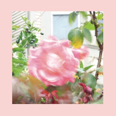 Reds Pinks and Purples: Summer At Land's End (Vinyl LP)