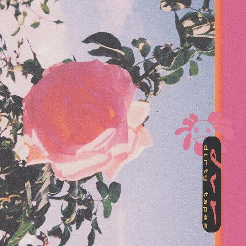 Dvr: Dirty Tapes (Vinyl LP)