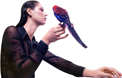 Cummings, Grace: Storm Queen (Vinyl LP)