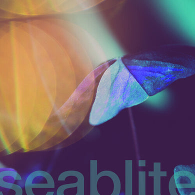 Seablite: Breadcrumbs (7-Inch Single)