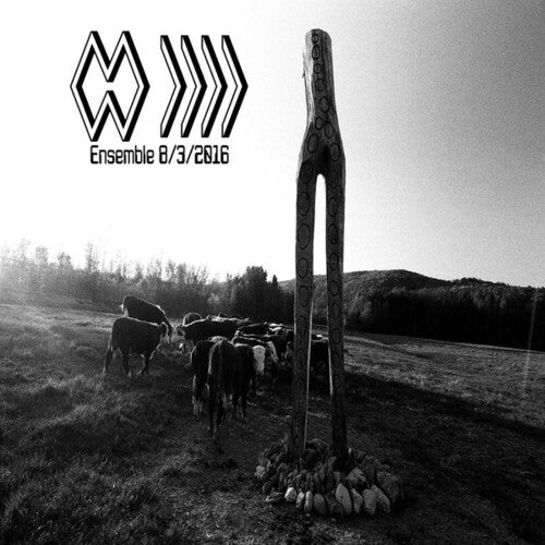 Band Whose Name Is a Symbol: Ensemble 8 3 2016 (Vinyl LP)