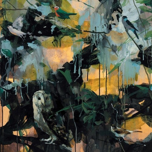 Ingebrigt H√•ker Flaten New York Quartet: (Exit) Knarr (Vinyl LP)