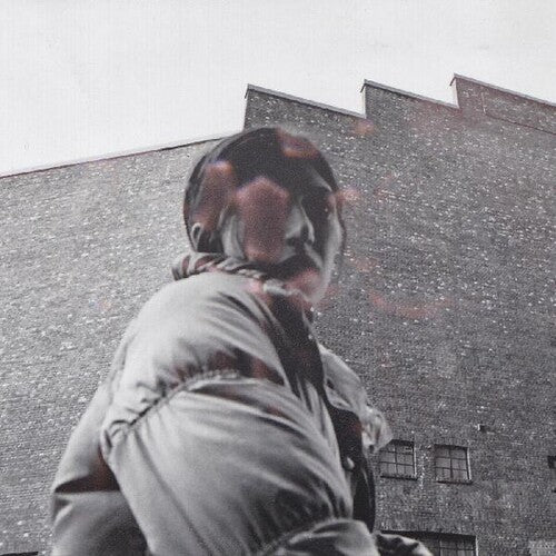 Warm Chrisby Aldous Harding (Vinyl Record)
