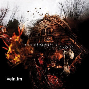 Vein.Fm: This World Is Going To Ruin (Vinyl LP)