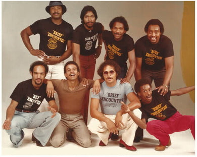 Singlesby The Brief Encounter (Vinyl Record)