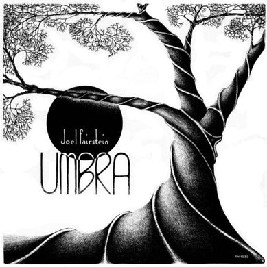 Fairstein, Joel: Umbra (Vinyl LP)