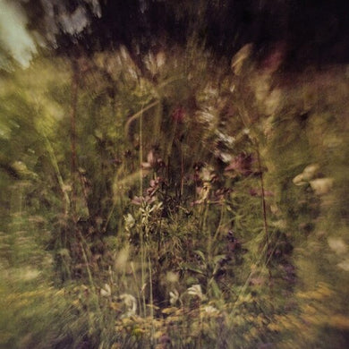 Pluralone: Wile B/w Remembered (purple) (7-Inch Single)