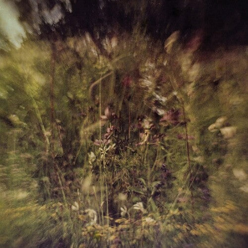 Pluralone: Wile B/w Remembered (purple) (7-Inch Single)