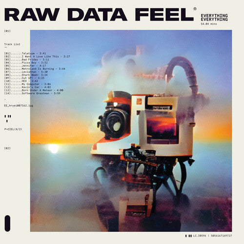 Everything Everything: Raw Data Feel (Vinyl LP)