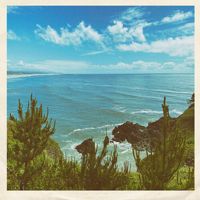 Nothing But Summerby Oilix (Vinyl Record)