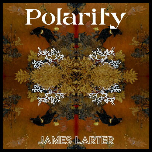 James Larter: Polarity (12-Inch Single)
