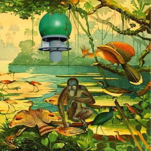 Radar 2 / Various: Radar 2 (Various Artists) (Vinyl LP)