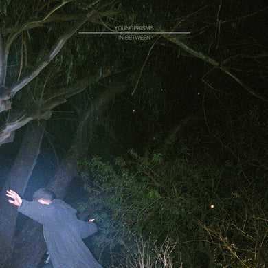 Young Prisms: In Between 10 Year Anniversary (Blue) (Vinyl LP)