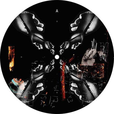 We Controlby Palmer, Lilly (Vinyl Record)