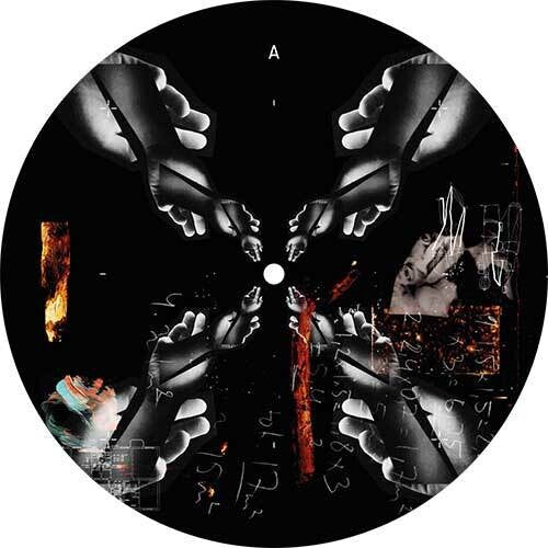 We Controlby Palmer, Lilly (Vinyl Record)