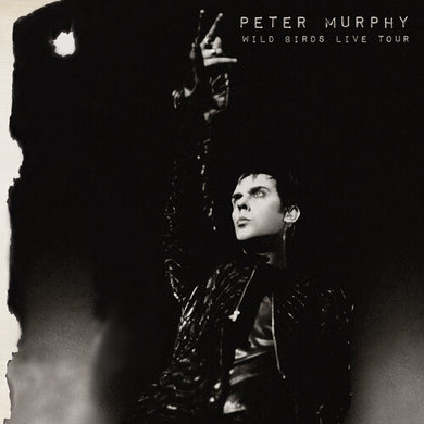 Murphy, Peter: Wild Birds Live Tour (purple & Black) (Vinyl LP)