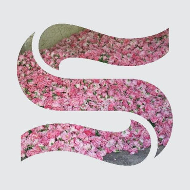 Step By Stepby Braxe & Falcon (Vinyl Record)