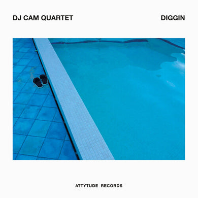 DJ Cam: Diggin (Vinyl LP)