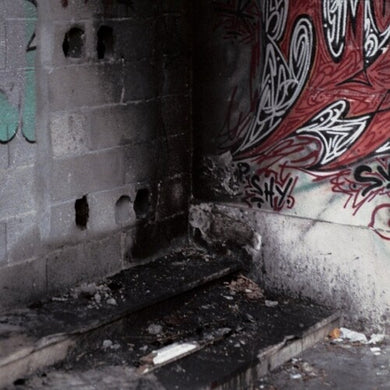 In Trux We Pux 04 (Various Artists)by Various Artists (Vinyl Record)