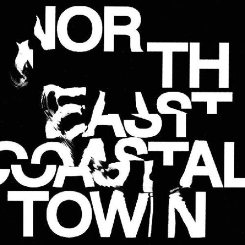 Life: North East Coastal Town (Vinyl LP)