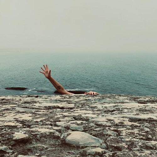 Pet Fox: A Face In Your Life (Vinyl LP)