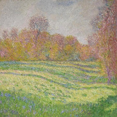 Sun Outside My Windowby Strawberry Guy (Vinyl Record)