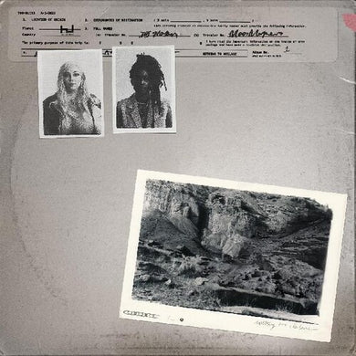 700 Bliss: Nothing To Declare (Vinyl LP)