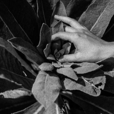 Nanook of the North: Heide (Vinyl LP)