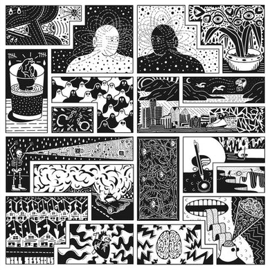 Will Sessions: Electromagnetic Reality (Vinyl LP)