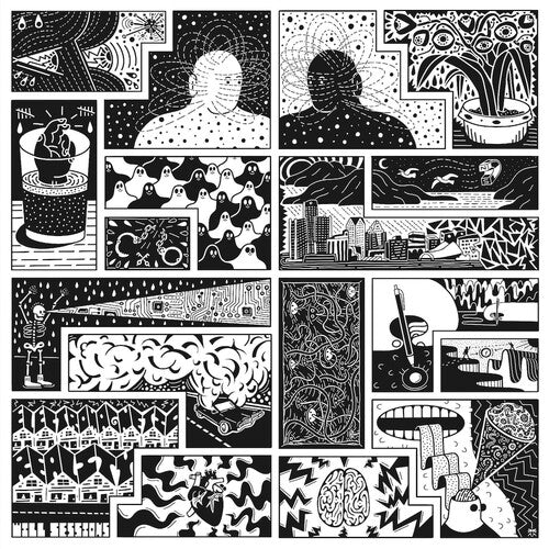 Will Sessions: Electromagnetic Reality (Vinyl LP)