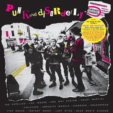 Punk & Disorderly Volume 2 / Various: Punk & Disorderly Volume 2 (Various Artists) (Vinyl LP)