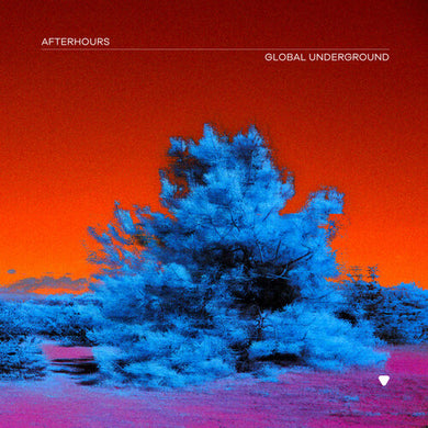 Global Underground: Afterhours 9 / Various: Global Underground: Afterhours 9 (Various Artists) (Vinyl LP)