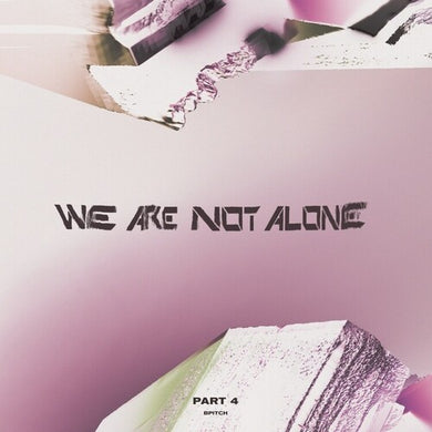 We Are Not Alone - Part 4 / Various: We Are Not Alone - Part 4 (Various Artists) (Vinyl LP)