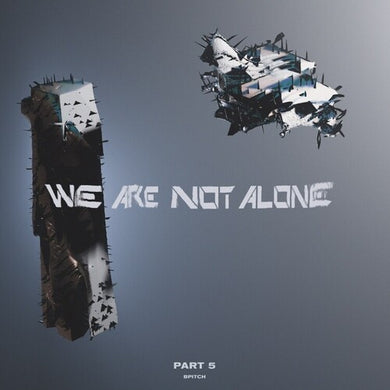 We Are Not Alone - Part 5 / Various: We Are Not Alone - Part 5 (Various Artists) (Vinyl LP)