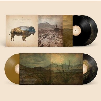 Heartless Bastards: Arrow (Vinyl LP)