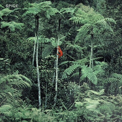 Spice: Spice - Grey (Vinyl LP)