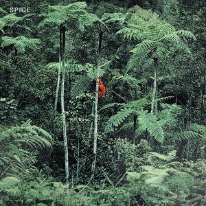 Spice: Spice - Grey (Vinyl LP)