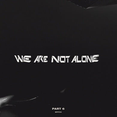 We Are Not Alone - Part 6 / Various: We Are Not Alone - Part 6 (Various Artists) (Vinyl LP)