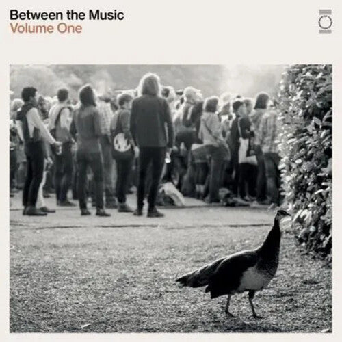 End of the Road Presents: Between the Music / Var: End Of The Road Presents: Between The Music / Various - White Colored Vinyl (Vinyl LP)