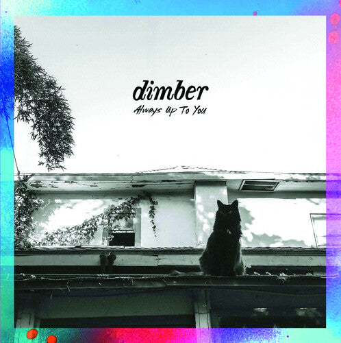 Dimber: Always Up To You (Vinyl LP)