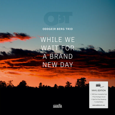 Oddgeir Berg Trio: While We Wait For A Brand New Day (Vinyl LP)