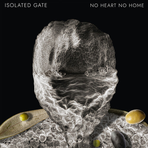 Isolated Gate: No Heart No Home (12-Inch Single)