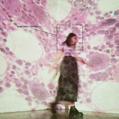 Soccer Mommy: Sometimes, Forever (Vinyl LP)