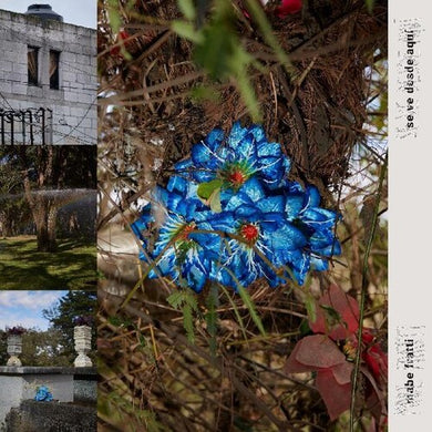 Fratti, Mabe: Se Ve Desde Aqui (Vinyl LP)