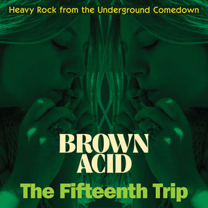 Brown Acid - the Fifteenth Trip / Var: Brown Acid - The Fifteenth Trip (Various Artists) (Vinyl LP)