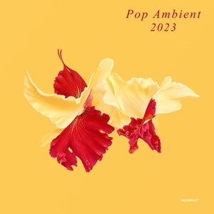 Pop Ambient 2023 / Various: Pop Ambient 2023 (Vinyl LP)