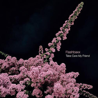 Flashbaxx: Take Care My Friend (Vinyl LP)