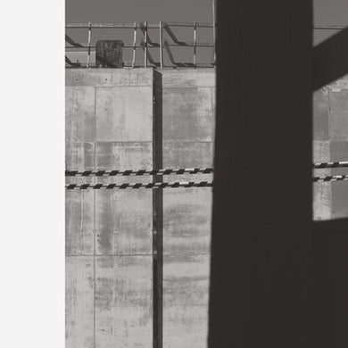 Abrahams, Chris: Follower (Vinyl LP)